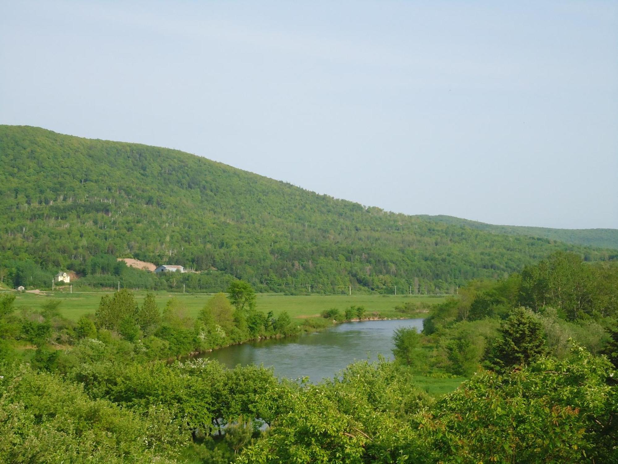 印第安雪松木屋假日公园 Margaree Forks 外观 照片