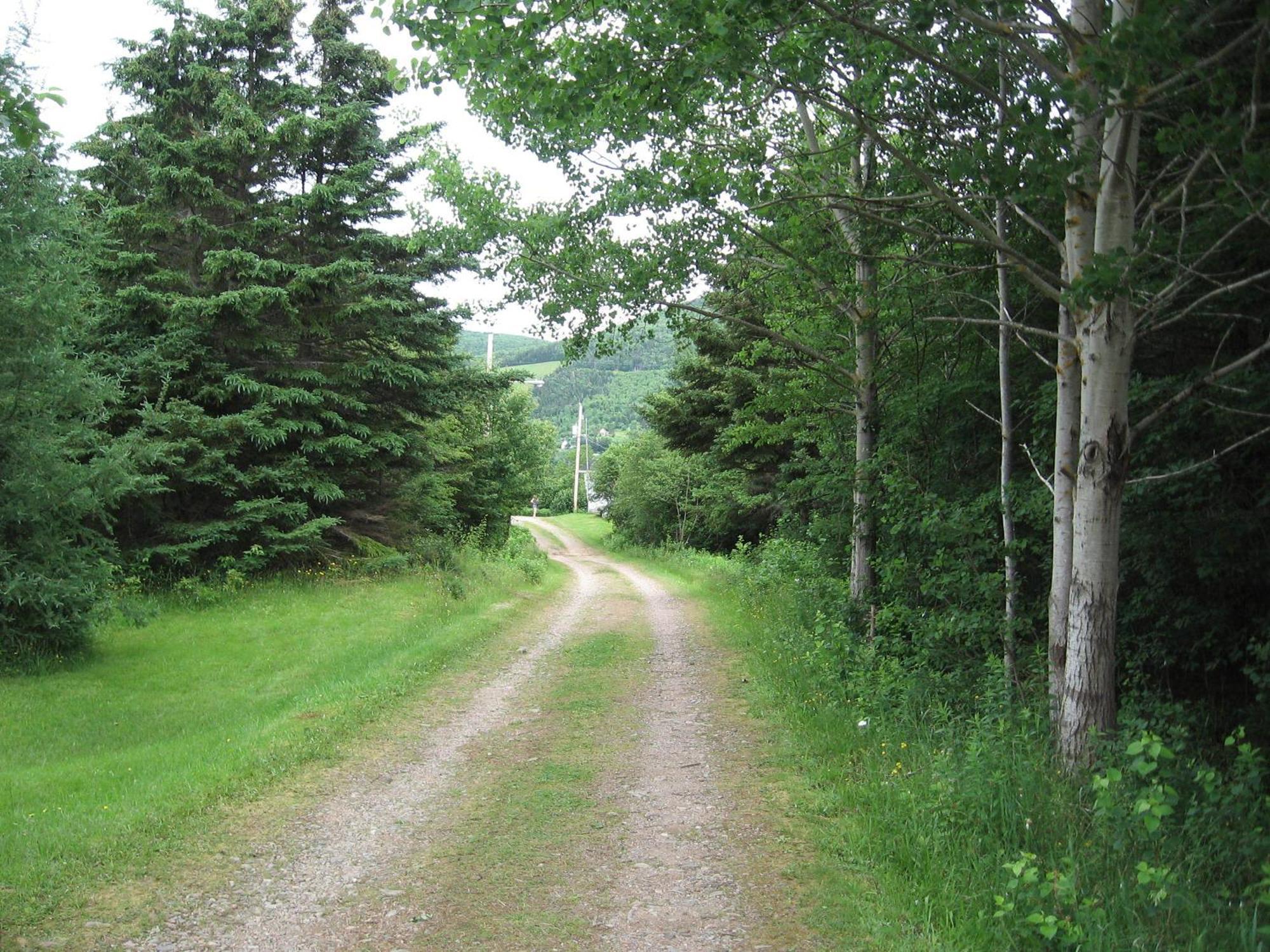 印第安雪松木屋假日公园 Margaree Forks 外观 照片