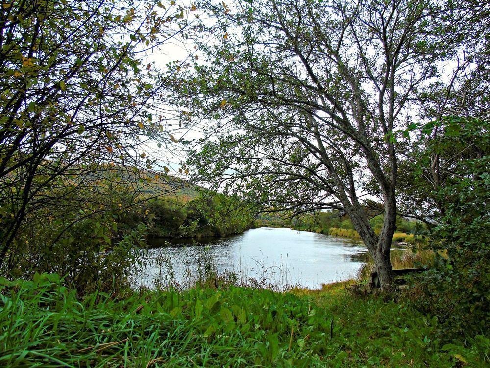 印第安雪松木屋假日公园 Margaree Forks 外观 照片