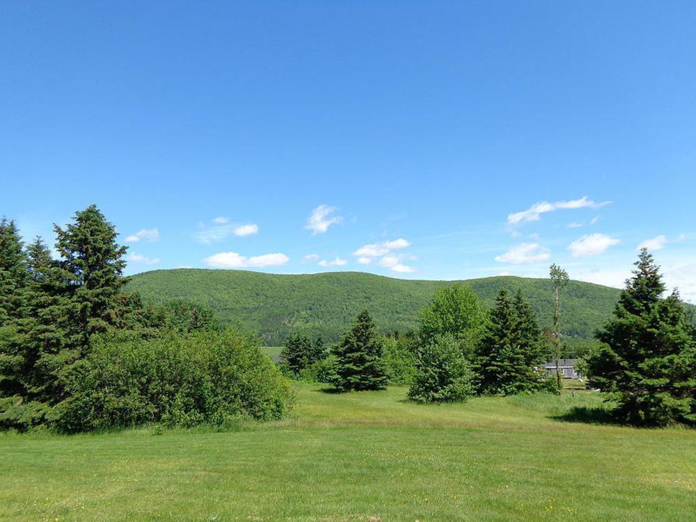 印第安雪松木屋假日公园 Margaree Forks 外观 照片