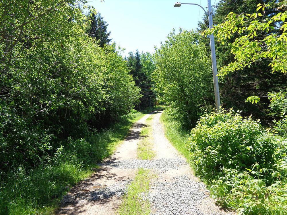 印第安雪松木屋假日公园 Margaree Forks 外观 照片