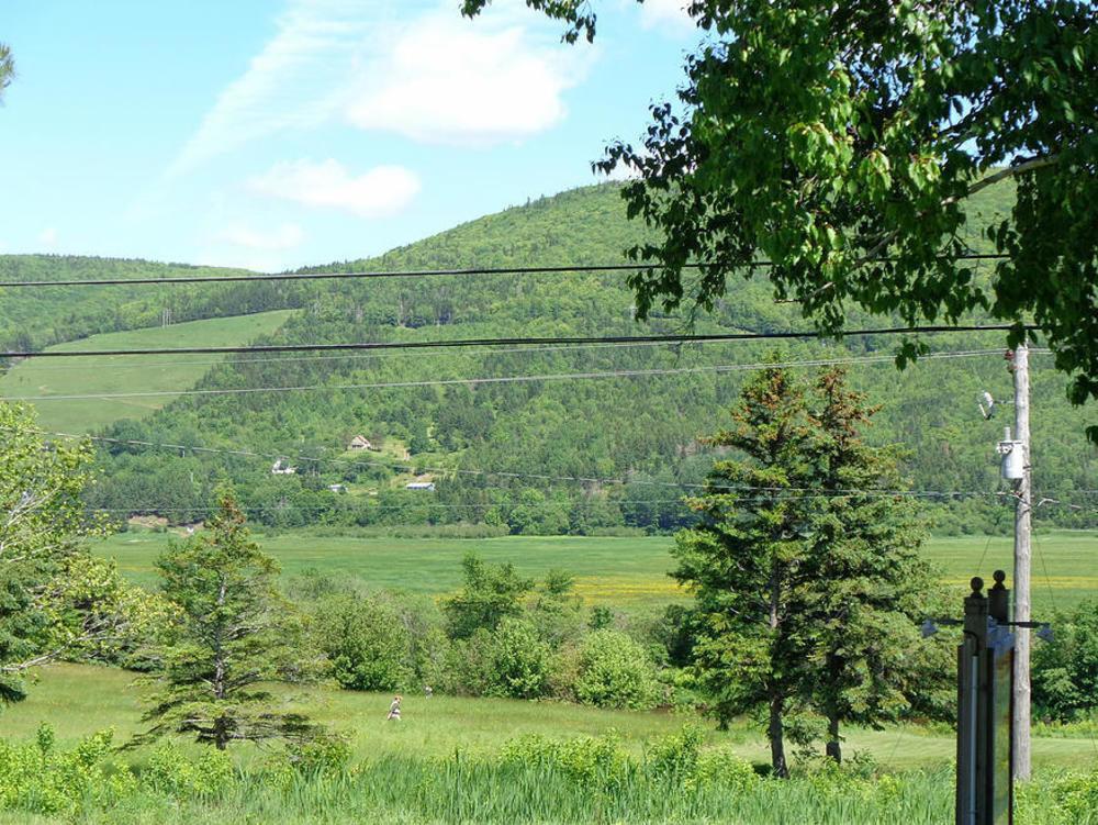 印第安雪松木屋假日公园 Margaree Forks 外观 照片